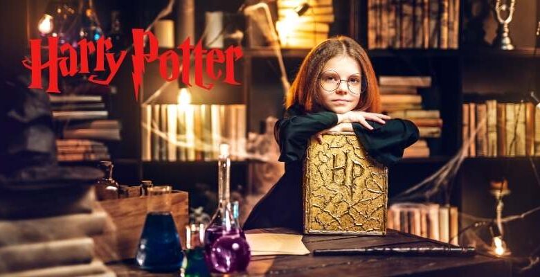 Harry Potter Figür Oyuncakları